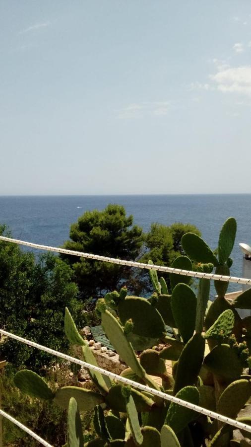 Marina Marittima Exterior foto
